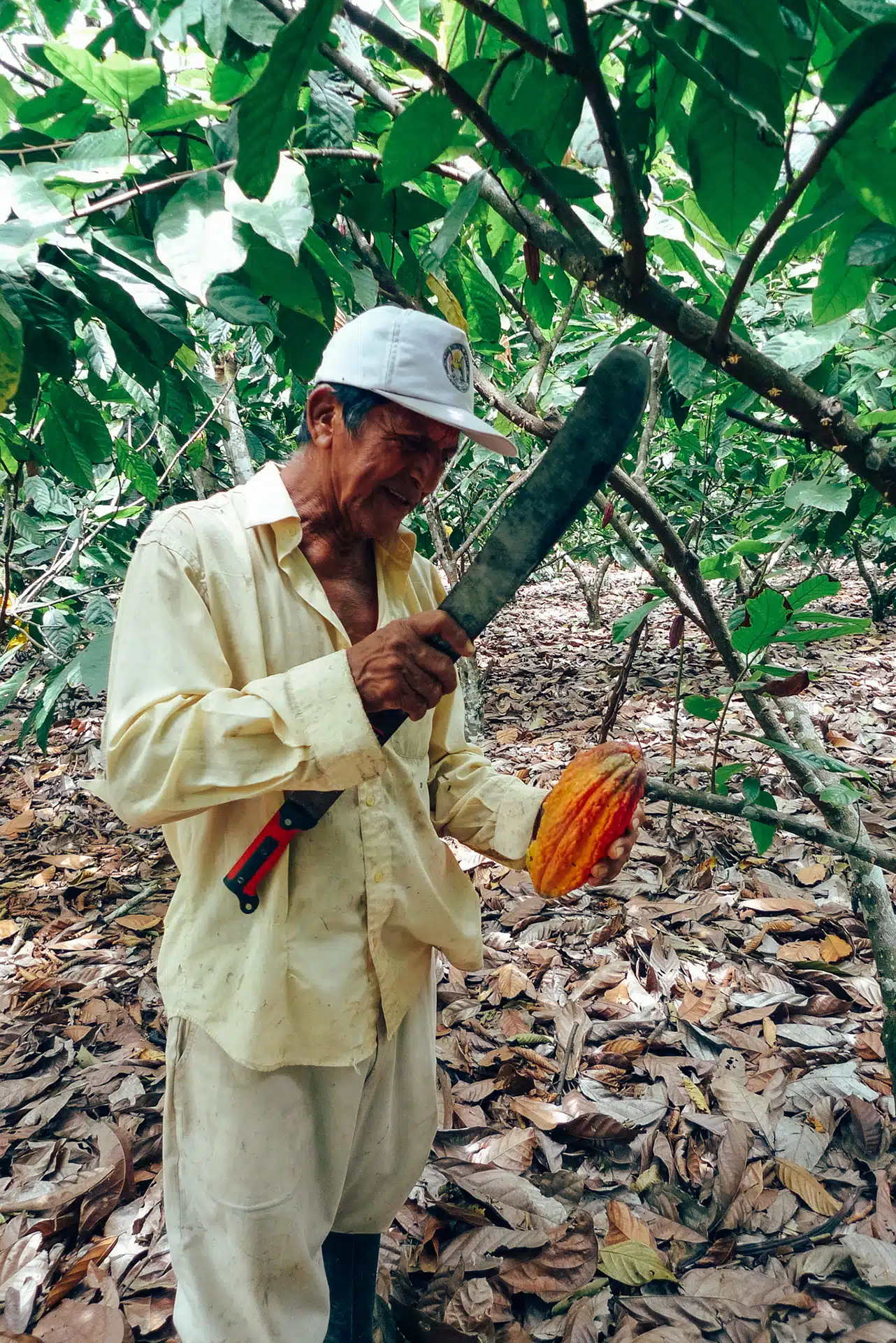 Bio Rohkakao Drops, Peru, 500g – Bild 5